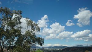 DSC06905